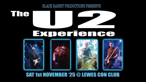 The U2 Experience